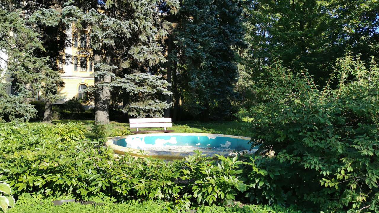 Фонтаны Ботанического сада им. Петра Великого