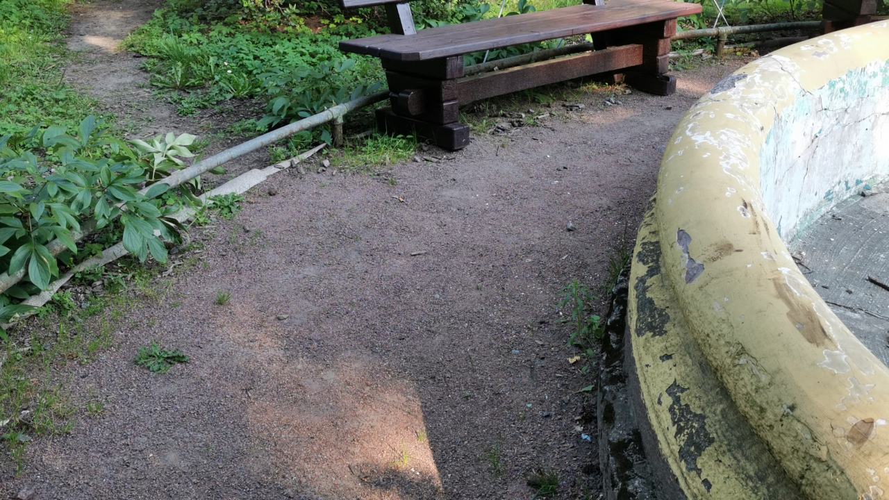 Фонтаны Ботанического сада им. Петра Великого